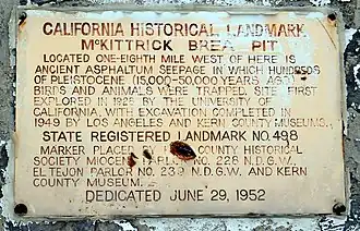 McKittrick Brea Pit