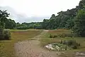 Roman River