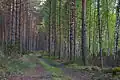 The Metsatee Mustoja Forest Reserve