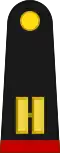 Teniente (Mexican Army)[54]