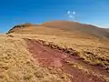 Trail to the summit