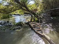 Confluence with Coyote Creek at Watson Park