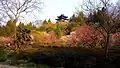 The annual plum blossom festival is located on Plum Blossom Hill