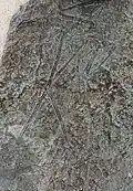 Copper mold of a fossil flamingo.