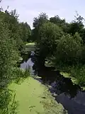 East from Drumpellier Home Farm bridge