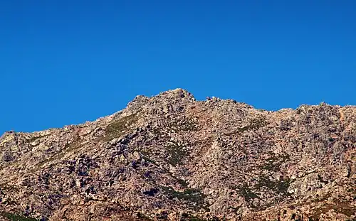 Summit