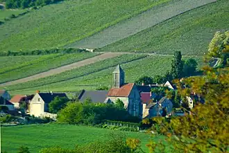 A general view of Monthurel