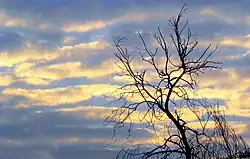 Morning Sky at SBP