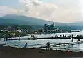 Mount Fuji Jazz Festival 28 August 1994