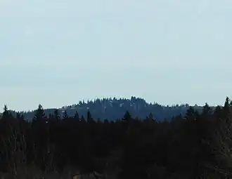 A rounded hill rises in the distance above a dark evergreen forest. The hill is forested too, but buildings are visible through the trees.