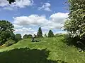 Mowing the motte
