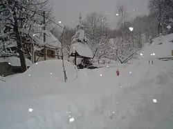 Near Lake Lokve