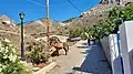 Mules of Hydra