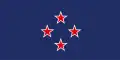 New Southern Cross by Wayne William Doyle