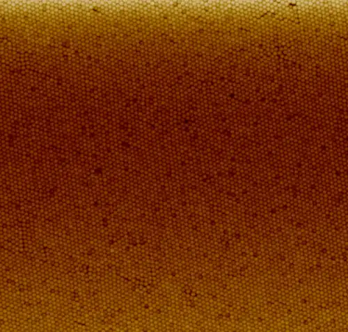 Nanoparticle coating of polystyrene nanoparticles on quartz prepared with the Langmuir-Blodgett method.