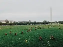 Image 10Axis after restoration (September 2016) (from National Mall)
