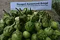 Nayagarh Kanteimundi brinjal - Another view