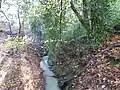 Netherside Stream Outcrops