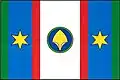 Flag of Neustupov