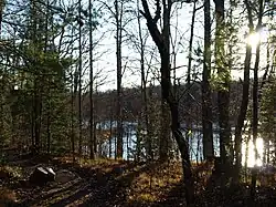 Grandfather Falls