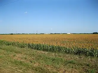 Crops are next to FM 1160 north of New Taiton. The four distant white tanks are on an oil lease.