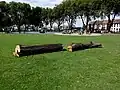 Logs used as seating