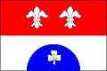 Flag of Nová Ves u Chotěboře