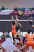 Nozomi Asakawa