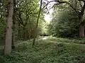 Cow Wood and Harry's Wood