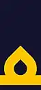 Woven shoulder mark (?–present)