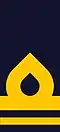 Woven shoulder mark (2003–present)