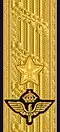 Shoulder mark (Air Force)[f] (2000–present)
