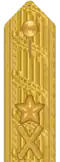 Shoulder mark (Army)[e] (2000–present)