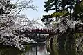 Okazaki Flower Festival