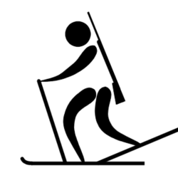 Pictograms of Olympic sports - Biathlon