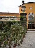 Collezione Opuntia