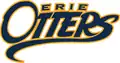 2017–2019 rebranded logo and jersey