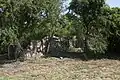 Ruins of Gennerperhuis