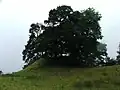 Owain Glyndwrs Mount