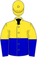 Yellow and blue halved (horizontal), yellow cap