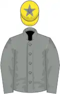 grey, yellow cap, grey star