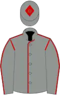 Grey, red seams, grey cap, red diamond