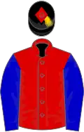 Red, Blue sleeves, Black cap with Red diamond and Gold tassel