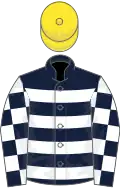 Dark blue, white hoops, checked sleeves, yellow cap