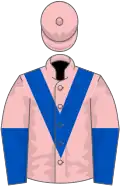 Pink, royal blue chevron, halved sleeves