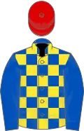 Royal blue and yellow check, royal blue sleeves, red cap