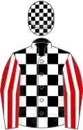 Black and white check, red and white striped sleeves