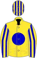Yellow, blue disc, striped sleeves and cap