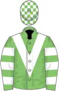 Light green, white chevron, hooped sleeves, check cap