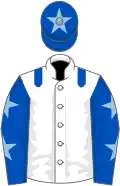 White, royal blue epaulets, royal blue sleeves, light blue stars, royal blue cap, light blue star